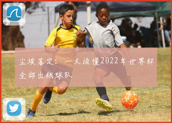 尘埃落定:一文读懂2022年世界杯全部出线球队