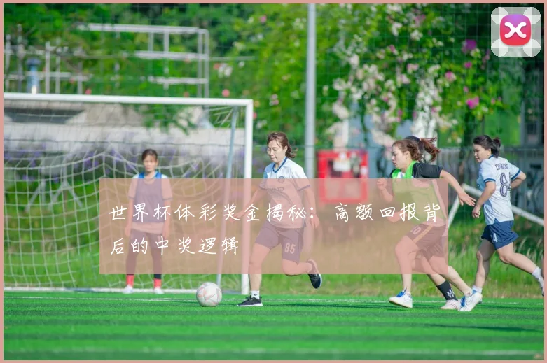 世界杯体彩奖金揭秘:高额回报背后的中奖逻辑