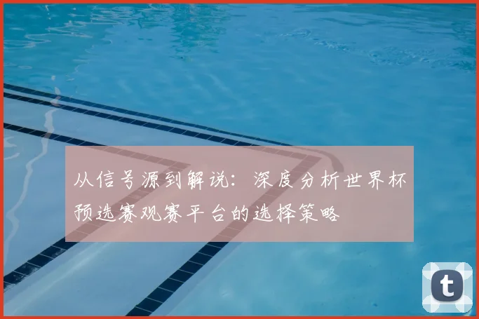 从信号源到解说:深度分析世界杯预选赛观赛平台的选择策略
