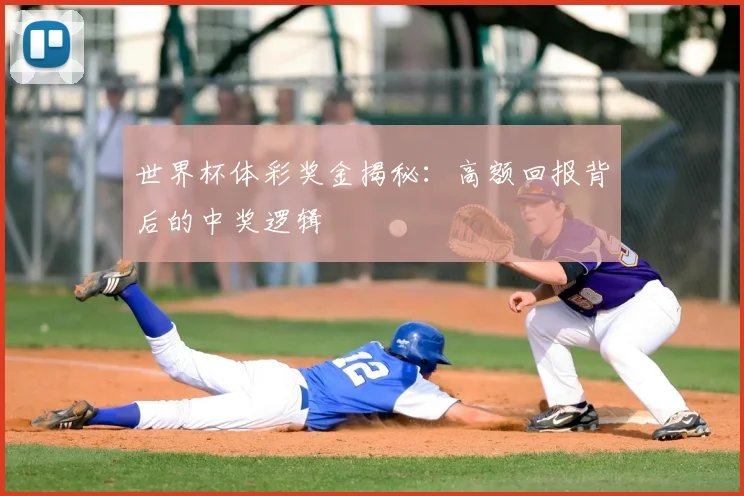 世界杯体彩奖金揭秘:高额回报背后的中奖逻辑