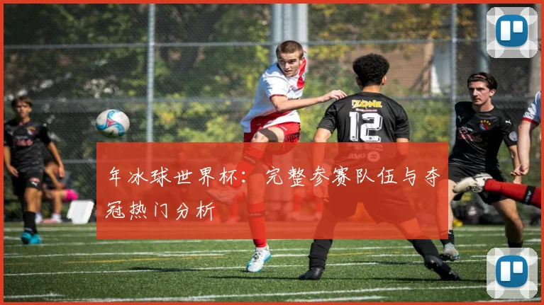 年冰球世界杯:完整参赛队伍与夺冠热门分析