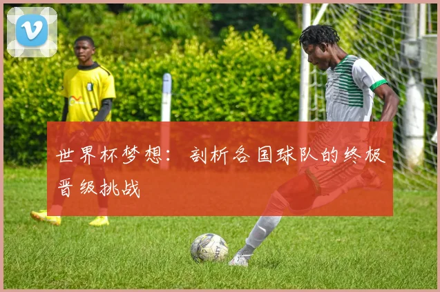 世界杯梦想：剖析各国球队的终极晋级挑战