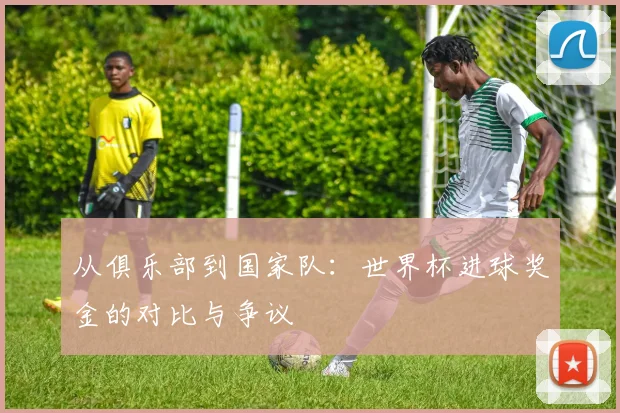 从俱乐部到国家队:世界杯进球奖金的对比与争议