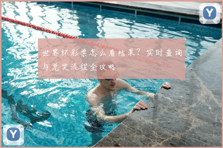 世界杯彩票怎么看结果？实时查询与兑奖流程全攻略