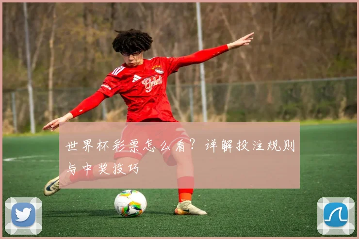 世界杯彩票怎么看？详解投注规则与中奖技巧